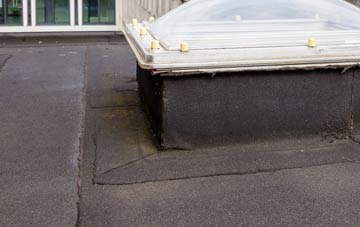 disadvantages of Newton Cross flat roofs