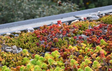 the cost of Newton Cross green roof installation