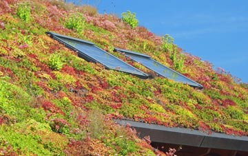 Newton Cross living roof systems